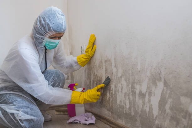 Best Water Damage Restoration  in Wallace, FL